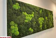 Anleger aufgepasst - ein wahres Raumwunder!