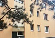 Charmante möblierte Kleinwohnung am Stadtrand von Wien - Perchtoldsdorf