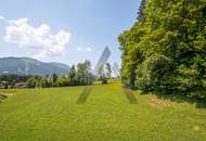 Miete: Chalet idyllisch gelegen am Waldrand mit traumhaften Kaiserblick