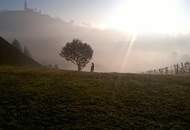 "Neuer Preis!" 2 ERSCHLOSSSENE BAUGRÜNDE MIT OBSTBAUMBESTAND UND WEINREBEN IN DER SÜDOSTSTEIERMARK