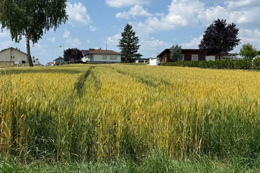 SONNIGES BAUGRUNDSTÜCK ohne Bauzwang, Grund und Boden-kauf, 35.000,€, 7512 Oberwart