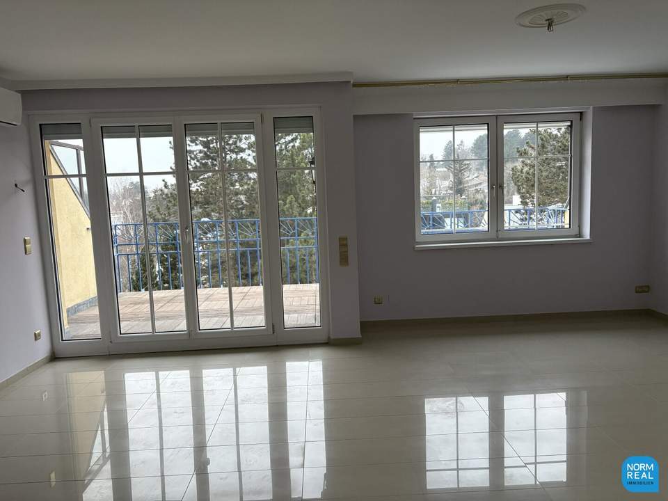 Terrassenwohnung in Grinzing