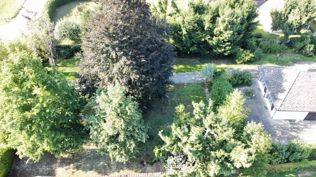 Großes Grundstück, teilbar: Ihre Chance auf 2.282 m² Ihren Wohntraum zu verwirklichen!