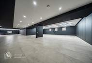 Exklusive Designvilla mit repräsentativem Firmensitz, 15-Meter-Pool und privater Fahrzeuggarage