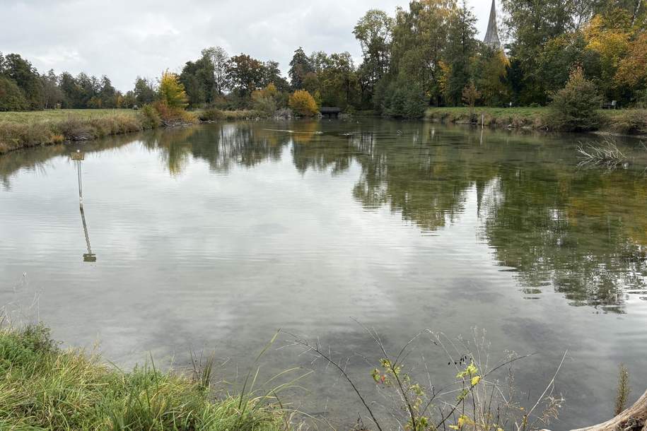 Weiher mit Wiese, Grund und Boden-kauf, 82.439,€, 5280 Braunau am Inn
