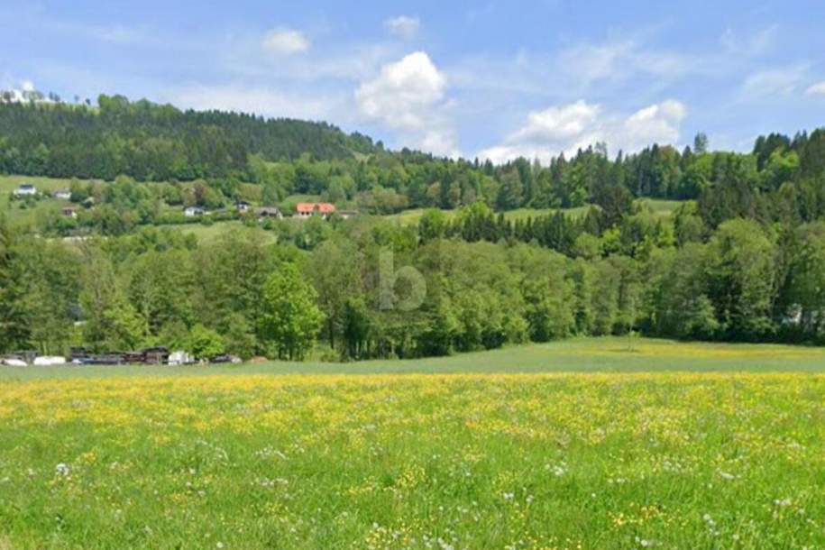 SCHNÄPPCHEN - IDEAL FÜR JUNGE FAMILIEN, Grund und Boden-kauf, 59.000,€, 9562 Feldkirchen