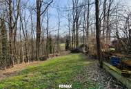 Wald und Wiese