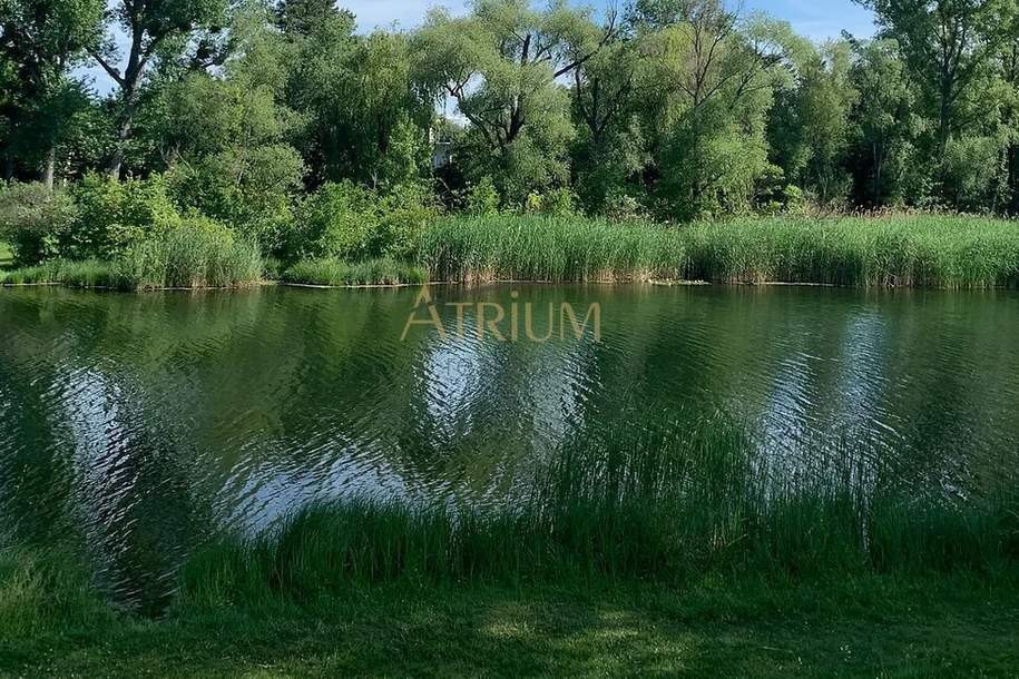 Baugrundstück auf EIGENGRUND mit vielen Möglichkeiten – Mühlwasser, Grund und Boden-kauf, 1.099.000,€, 1220 Wien 22., Donaustadt