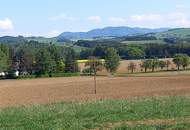 Unverbaubare Fernsicht! 1.531 m² großes Hang-Baugrundstück OHNE Bauzwang und OHNE Bebauungsplan in Steusiedlung am Land!