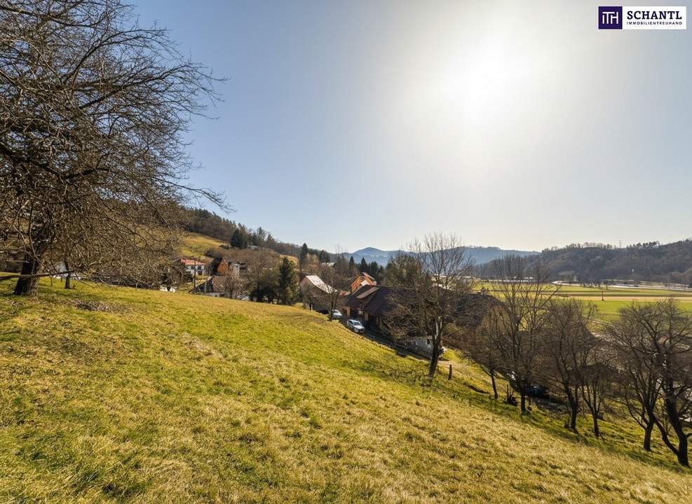 WOW! Einzigartiges Baugrundstück in Prenning bei Deutschfeistritz – 3.700 m², aufteilbar in 7 Parzellen