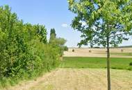 Ihr Traum vom Eigenheim: Sonniger Baugrund Nähe Wien in 2124 Oberkreuzstetten/Weinviertel