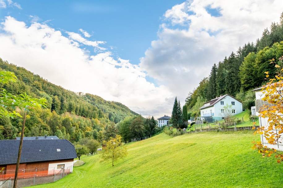 Renditeobjekt mit 3 Einheiten am nördlichen Stadtrand von Linz, Haus-kauf, 395.000,€, 4202 Urfahr-Umgebung
