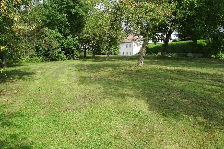 2 Bauparzellen im Ortskern ohne Bauzwang in Weistrach, Grund und Boden-kauf, 67.500,€, 3351 Amstetten