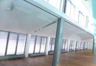 Alte Börse: BÜRO am Schottenring - große Terrasse - U2-Nähe!!