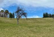 Haus mit Wirtschaftsgebäude