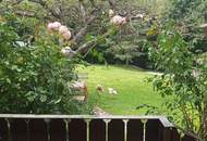 EINZIGARTIG - Wald, Wiesen, Bergblick und ein Bungalow!