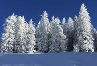 Investment - Ferienwohnungen - Apartmenthaus mit Geschäftslokalen im Zentrum Schladmings