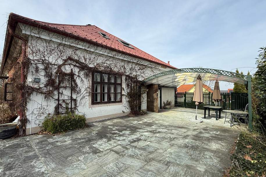 Historische Villa mit Burgblick und parkähnlichem Garten, Haus-kauf, 499.000,€, 7540 Güssing