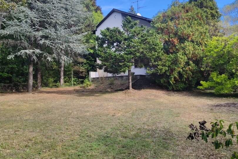 Charmantes Einfamilienhaus mit großzügigem Grundstück in begehrter Lage von Baden, Haus-kauf, 1.250.000,€, 2500 Baden