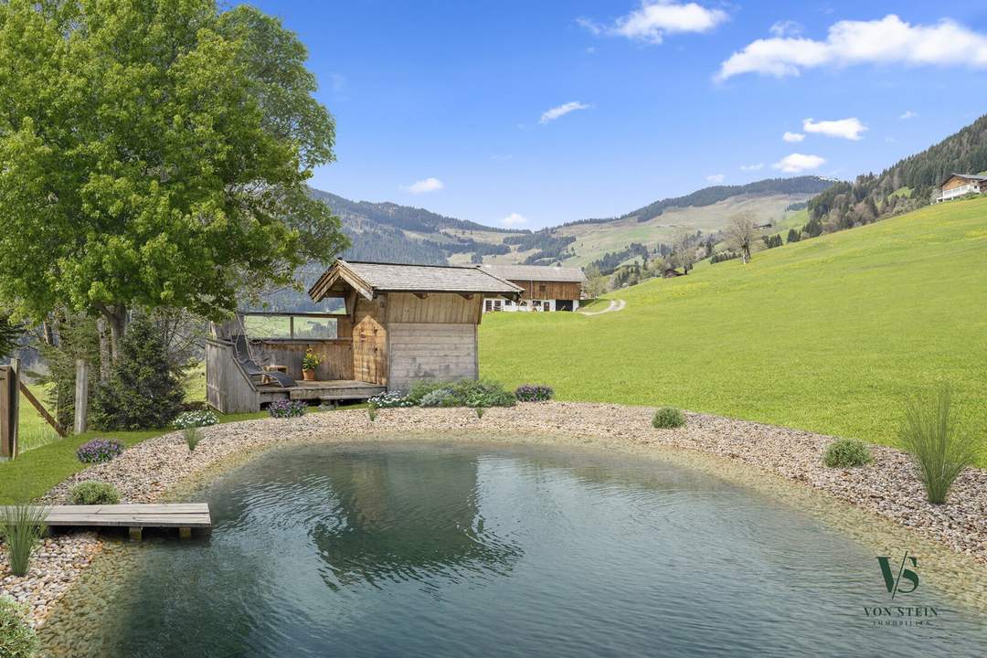 Alpenparadies mit Schwimmteich und viel Platz – Leben, Vermieten &amp; Kraft tanken!