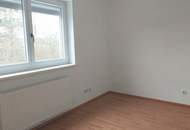 Traumhafte 3 Zimmer Dachterrassen-Maisonettewohnung in Loosdorf