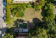 Ein Ort zum Wurzeln schlagen – Raum für Leben, Lachen und Zukunft