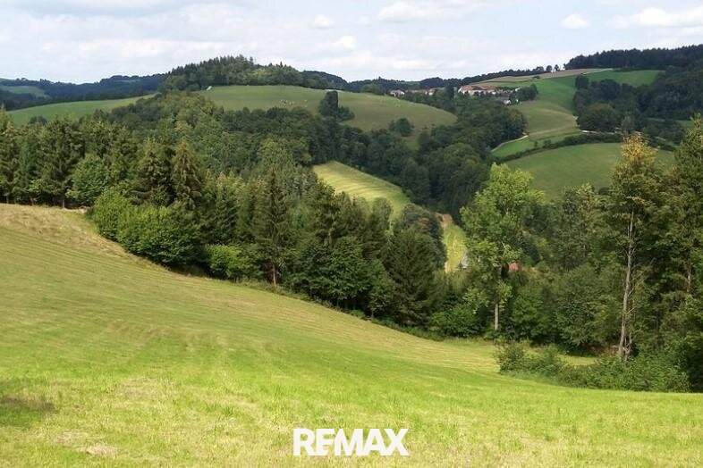 418.750 m² Wälder/Ackerland/Grünland - in der Buckligen Welt - Ihre Invenstition in Grund und Boden!, Gewerbeobjekt-kauf, 2860 Wiener Neustadt(Land)