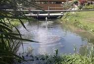 Zuhause im Naturparadies – Wohnen nahe dem Weißensee