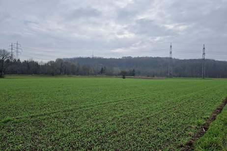 RARITÄT: ZUSAMMENHÄNGENDE LIEGENSCHAFT ALS KAPITALANLAGE DIREKT AN DER DERZEITIGEN BAULANDGRENZE ODER GRUNDSTÜCK MIT HOHEM UMWIDMUNGSPOTENTIAL, Grund und Boden-kauf, 1.350.000,€, 3130 Sankt Pölten(Land)