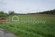 Schöne Baugründe am Ortsrand von Güssing