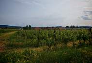 Riesling Weingarten Riede Röthling - PROVISIONSFREI!