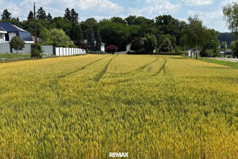 SONNIGES BAUGRUNDSTÜCK ohne Bauzwang, Grund und Boden-kauf, 99.000,€, 7512 Oberwart