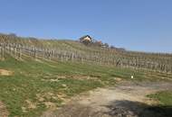 Modernes Chalet - Architektur im Weingarten - Ihr neues Feriendomizil