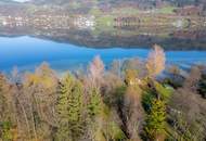 Drachen.wand - Grüner Lebensraum am Mondsee