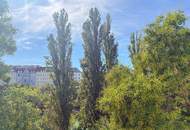 Helle 2-Zimmer-Altbauwohung Nähe Friedensbrücke