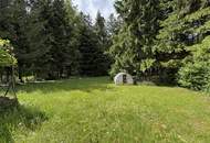 Einfamilienhaus mit großen Garten am Waldrand