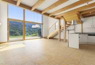 Modernisiertes Reihenhaus mit 3 Wohneinheiten, traumhaftem Seeblick und vielseitigen Nutzungsmöglichkeiten