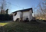 NEXT LEVEL PRESSHAUS?! Platz für Ihre Ideen!