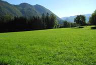 Hübsche, landwirtschaftliche Wiese mit kleinem Wald - KEIN Baugrund !!!