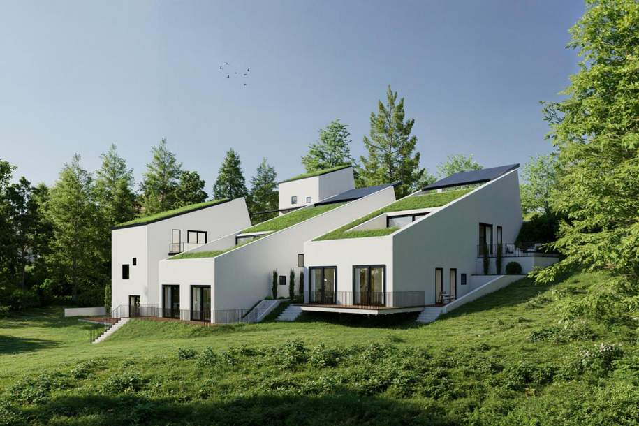 Haus mit großen Terrassen und schönem Ausblick! Neubauprojekt in Waltendorf!, Haus-kauf, 699.887,€, 8042 Graz(Stadt)