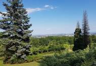 Seltene Gelegenheit: Winzerhaus auf uneinsehbarem Grundstück | ZELLMANN IMMOBILIEN