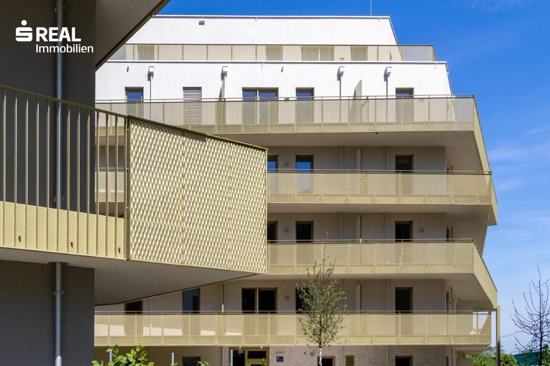 Hirschfeld - Ihr neues Zuhause im Grünen - anfragen, besichtigen, einziehen - 41 bis 96 m²
