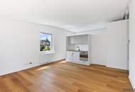 **Architekten Dachloft mit Terrasse, Hochwertiger Ausstattung und SÜD-WEST Ausrichtung**