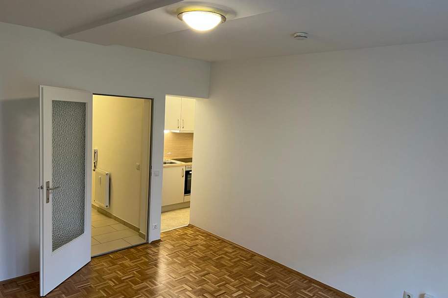 Kleinwohnung für Singles, Wohnung-miete, 490,00,€, 9020 Klagenfurt(Stadt)