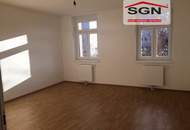 Wunderschöne helle 2-Zimmer komplett sanierte Altbauwohnung mit Ausblick an die Donau