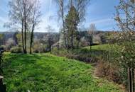 PARKGRUNDSTÜCK IN RUHELAGE MIT GEBÄUDEALTBESTAND