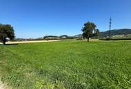 Landwirtschaftliche Fläche
