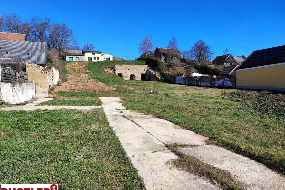 Zwei vielseitige Grundstücke in Blumenthal – Wohnen &amp; Natur auf über 8.300 m², Grund und Boden-kauf, 195.000,€, 2225 Gänserndorf