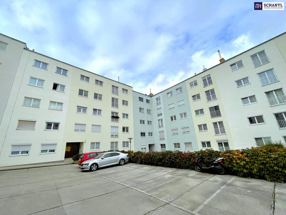 Renovieren statt resignieren! 3-Zimmer I Neubau I 3. Liftstock I ideale Infrastruktur I beste Anbindung!