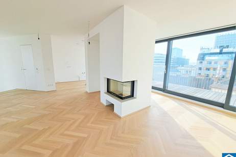 Stilvolle Maisonettewohnung mit Kamin und Dachterrassen im 4. Bezirk, Wohnung-kauf, 2.495.000,€, 1040 Wien 4., Wieden